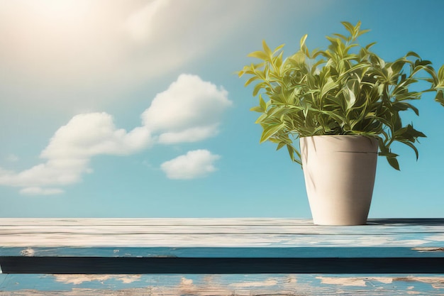 mesa con planta verde frente a la ventana