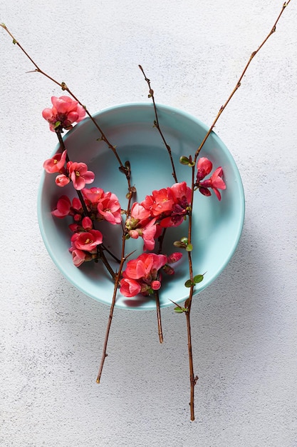 Mesa de primavera con ramas floridas platos vacíos menú publicitario