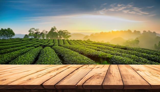 Mesa rústica vacía frente al paisaje de plantaciones de té al amanecer.