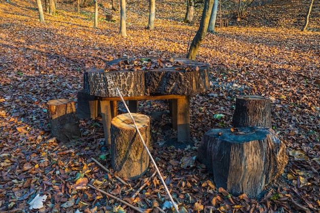 Mesa y sillas hechas de troncos en el parque.