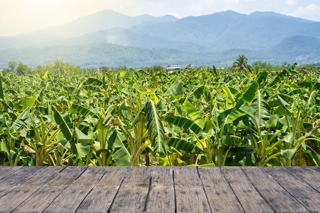 Mesa texturizada contra el campo de plantaciones de banano