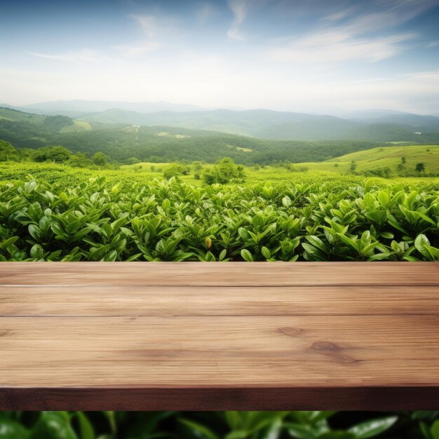 Mesa vacía de madera contra un fondo de picos de montañas borrosos y plantas verdes