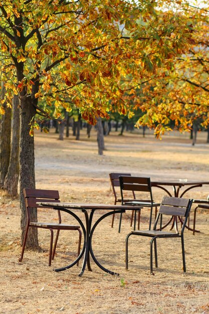 Mesas y sillas de cafetería en otoño