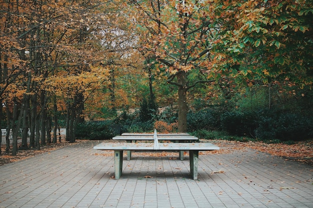 Mesas de tenis de mesa en el parque durante el otoño