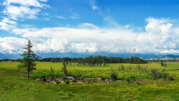 Meseta pantanosa verde con el telón de fondo de montañas distantes