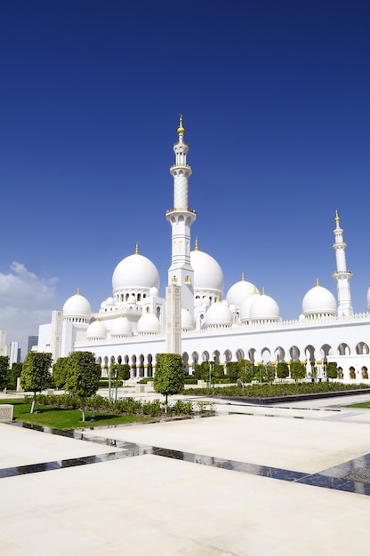 Mesquita branca