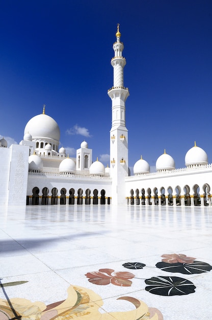 Mesquita Branca