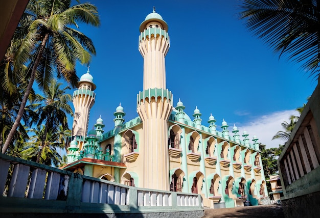 Mesquita na Índia