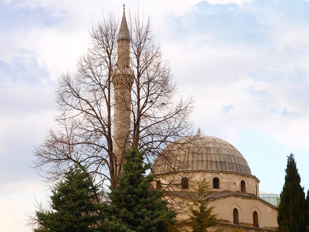 mesquita