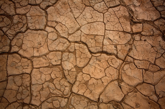 Mesquite Dunes trocknete Lehmmakrodetail in Death Valley