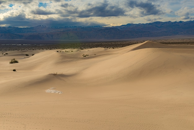 Foto mesquite flache sanddünen, death valley national park