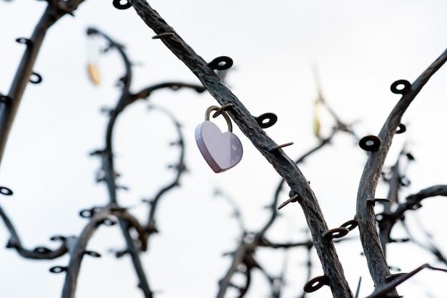 Metallschloss in Form eines Herzens auf einem künstlichen Metallbaum Symbol der Liebesheirat