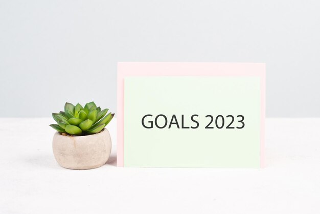 Metas 20223, resolución de año nuevo, plan para el futuro, concepto de negocios y educación