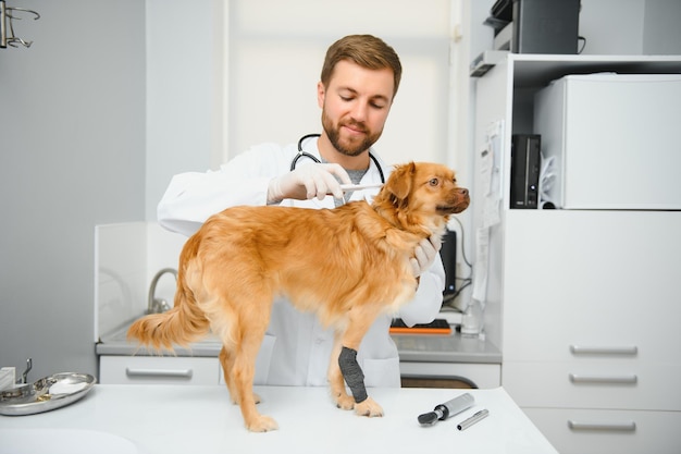 Meu melhor paciente veterinário masculino alegre em uniforme de trabalho segurando um cachorro e sorrindo em pé na clínica veterinária