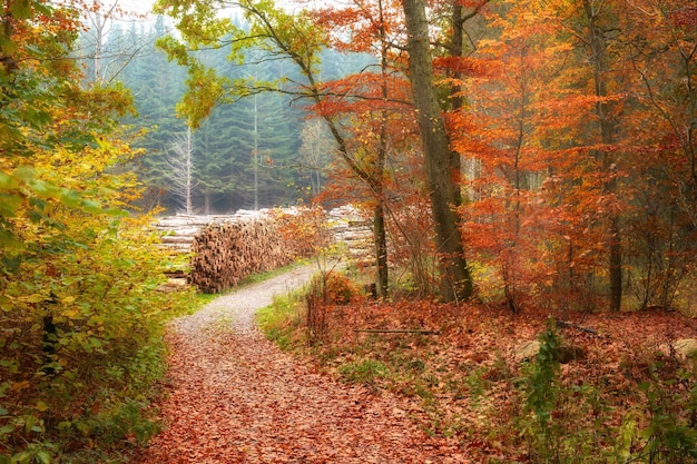 Meu país Imagens do Reino da Dinamarca