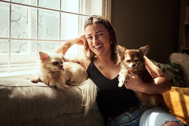 Meus chihuahuas colocaram o chi na minha vida Foto de uma jovem relaxando com seus cachorros no sofá em casa