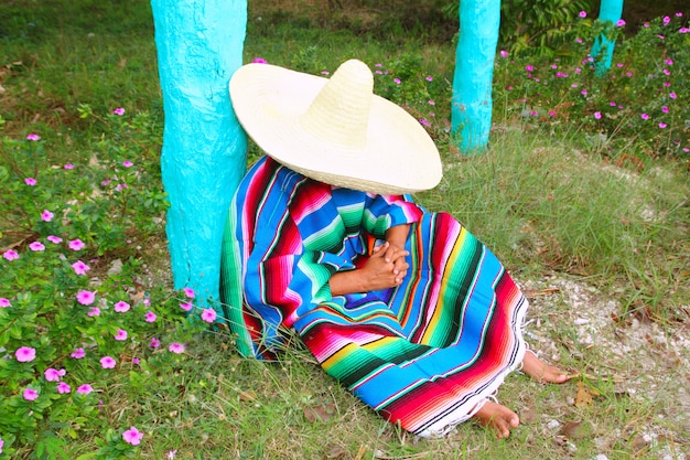 Mexicano preguiçoso sombrero chapéu homem poncho nap jardim