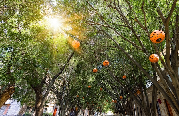 México Morelia atracción turística coloridas calles y casas coloniales en el centro histórico