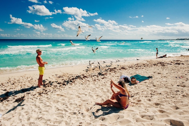 México Playa Delfines Diciembre 2019 Hermosa playa en Cancún Turista alimenta gaviotas