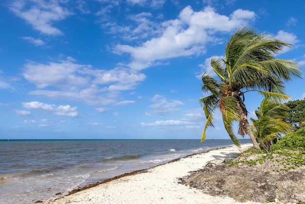 México playas playas y hoteles de la isla de Cozumel turismo y destino vacacional