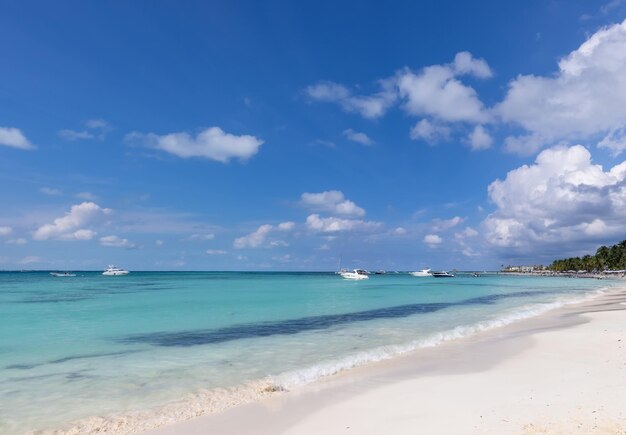 Mexiko Cancun Isla Mujeres Playa Norte Strand mit Palmen und Sand warten auf Touristen