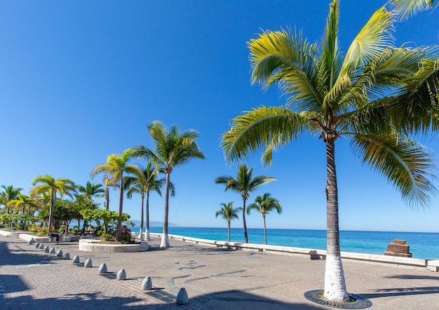 Mexiko Puerto Vallarta Strandpromenade El Malecon mit Aussichtspunkten auf das Meer Strände malerische Landschaften