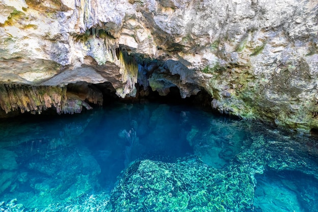 Mexiko Reiseziel Höhlen und Pools von Cenote Casa Tortuga in der Nähe von Tulum und Playa Del Carmen