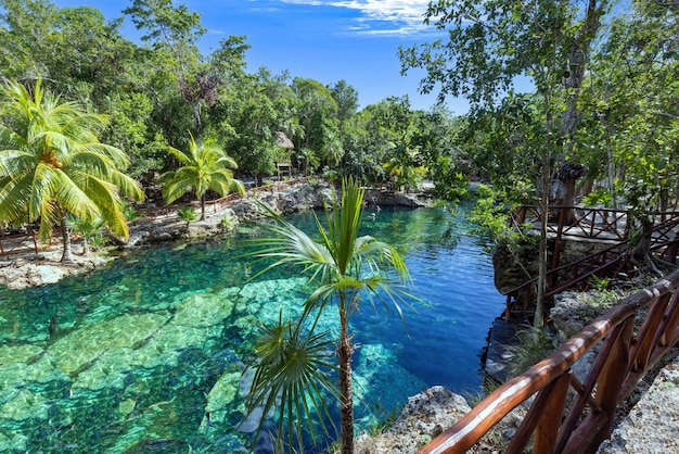 Mexiko Reiseziel Höhlen und Pools von Cenote Casa Tortuga in der Nähe von Tulum und Playa Del Carmen