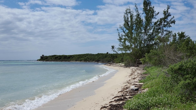 Mexiko, wilder Strand