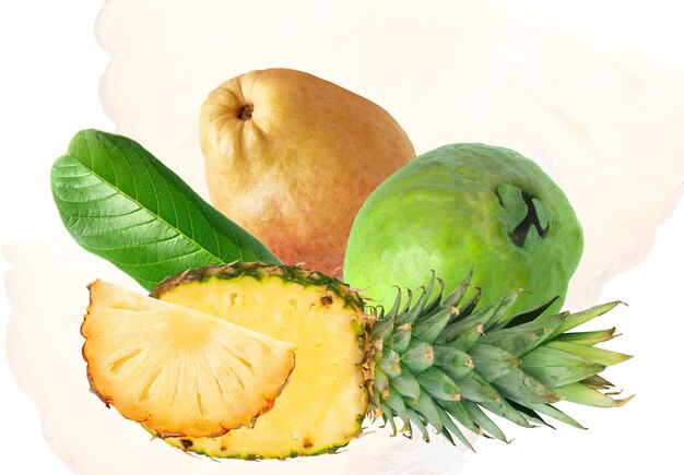 Una mezcla diversa de naturalezas cosecha que ofrece una amalgama de sabores y texturas