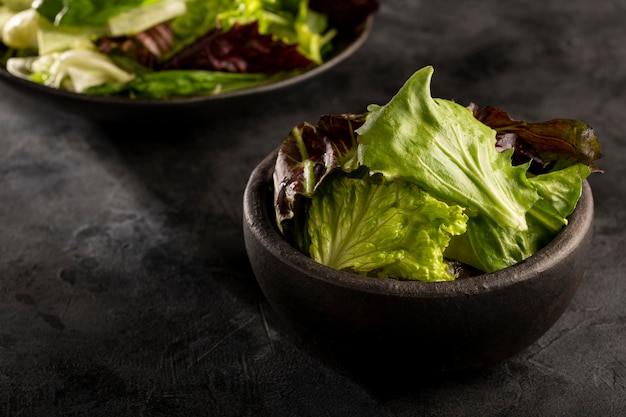 Mezcla de ensalada de lechuga en un tazón