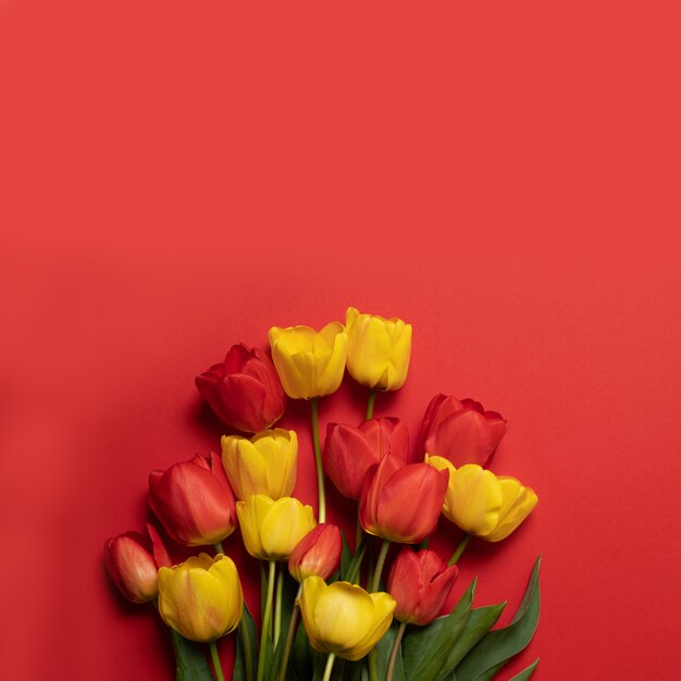 Foto mezcla de flores de tulipanes de primavera en rojo.