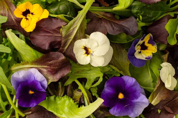 Mezcla fresca de ensaladas con flores comestibles Vista superior