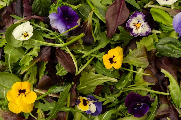 Mezcla fresca de ensaladas con flores comestibles Vista superior