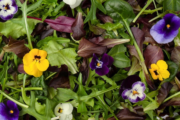 Mezcla fresca de ensaladas con flores comestibles Vista superior