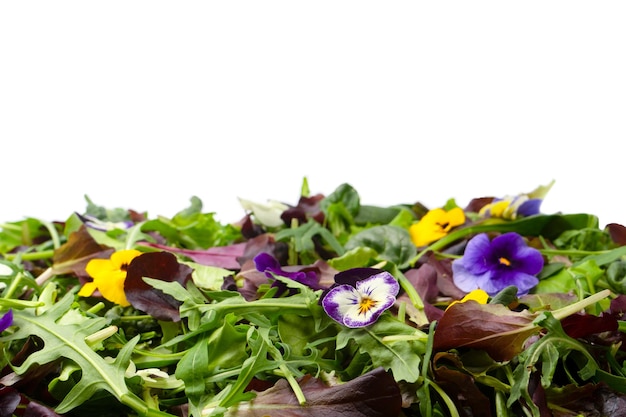 Mezcla fresca de ensaladas con flores comestibles.