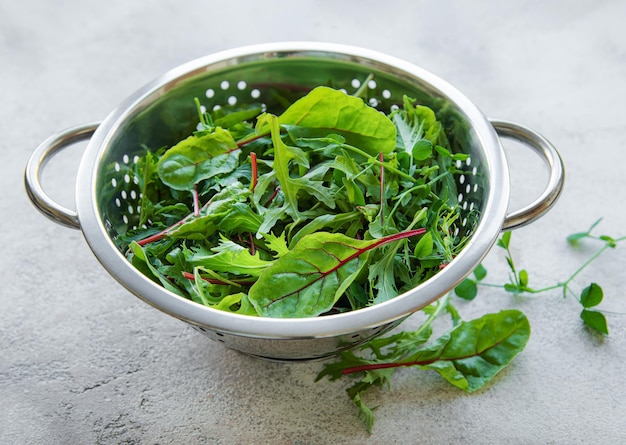 Mezcla de hojas de ensalada verde fresca con rúcula y remolacha