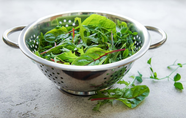 Mezcla de hojas de ensalada verde fresca con rúcula y remolacha