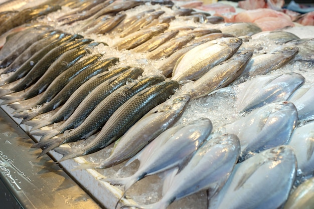 Mezcla de pescado fresco en el mercado de Tailandia como mulet pescado.