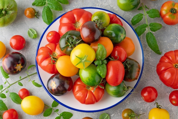 Una mezcla de tomates orgánicos maduros multicolores Alimentos saludables