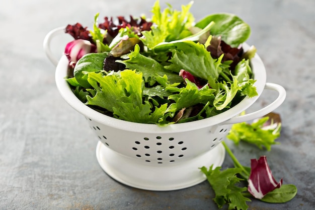 Mezclar hojas de ensalada de primavera en un colador