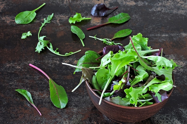 Mezcle las ensaladas para bebés en un tazón. Concepto de alimentos saludables o dietéticos. Superalimentos Eco alimentos. Comida de fitness.