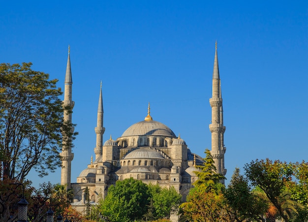 Mezquita azul en Estambul al amanecer. pavo