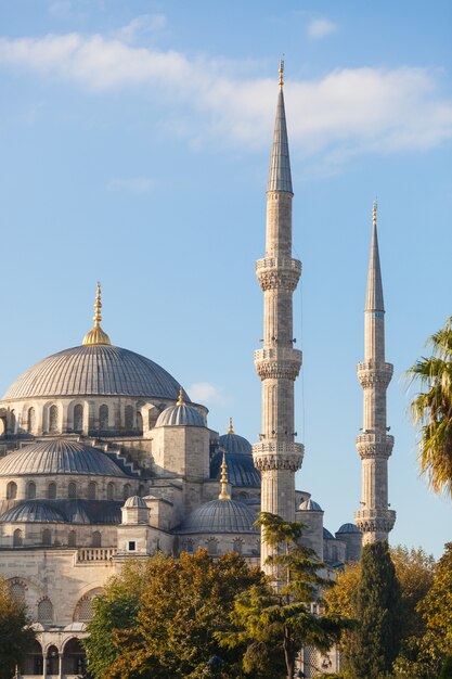 Mezquita Azul en Estambul en un día soleado