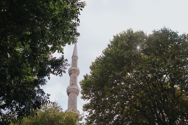 Foto mezquita azul, explora turquía, visita el concepto de estambul