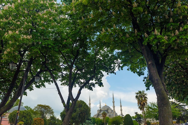 La Mezquita Azul de la Mezquita del Sultán Ahmed y la vista de la fuente desde el Parque Sultanahmet en Estambul