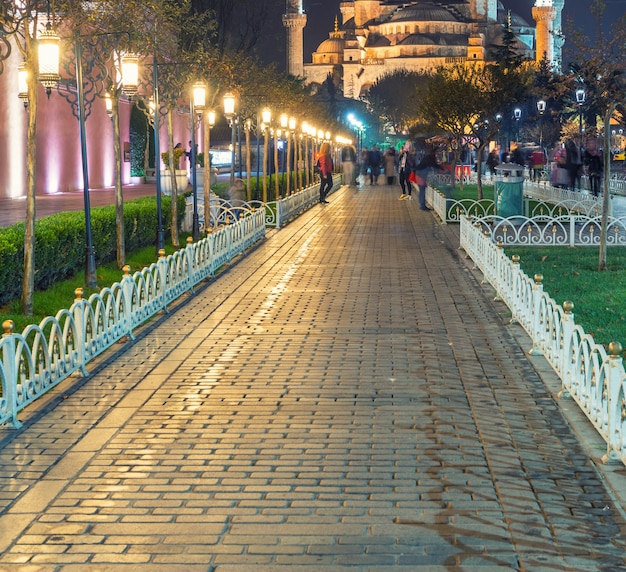 La Mezquita Azul de noche, Estambul.