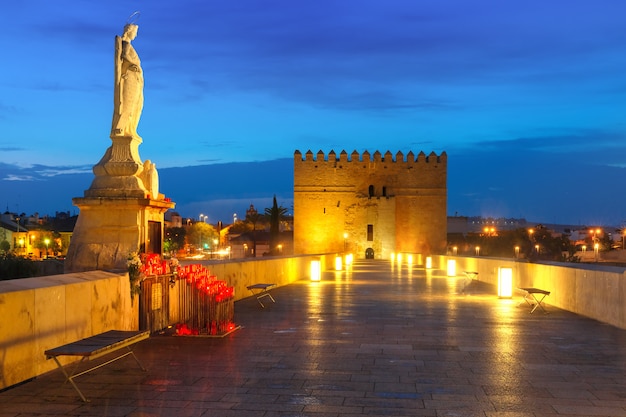 Foto mezquita y puente romano en córdoba, españa