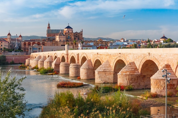 Mezquita y puente romano en Córdoba España