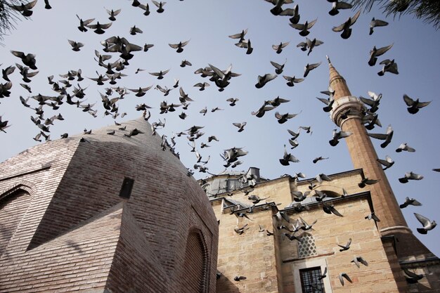 Mezquita Serafettin Konya Turquía